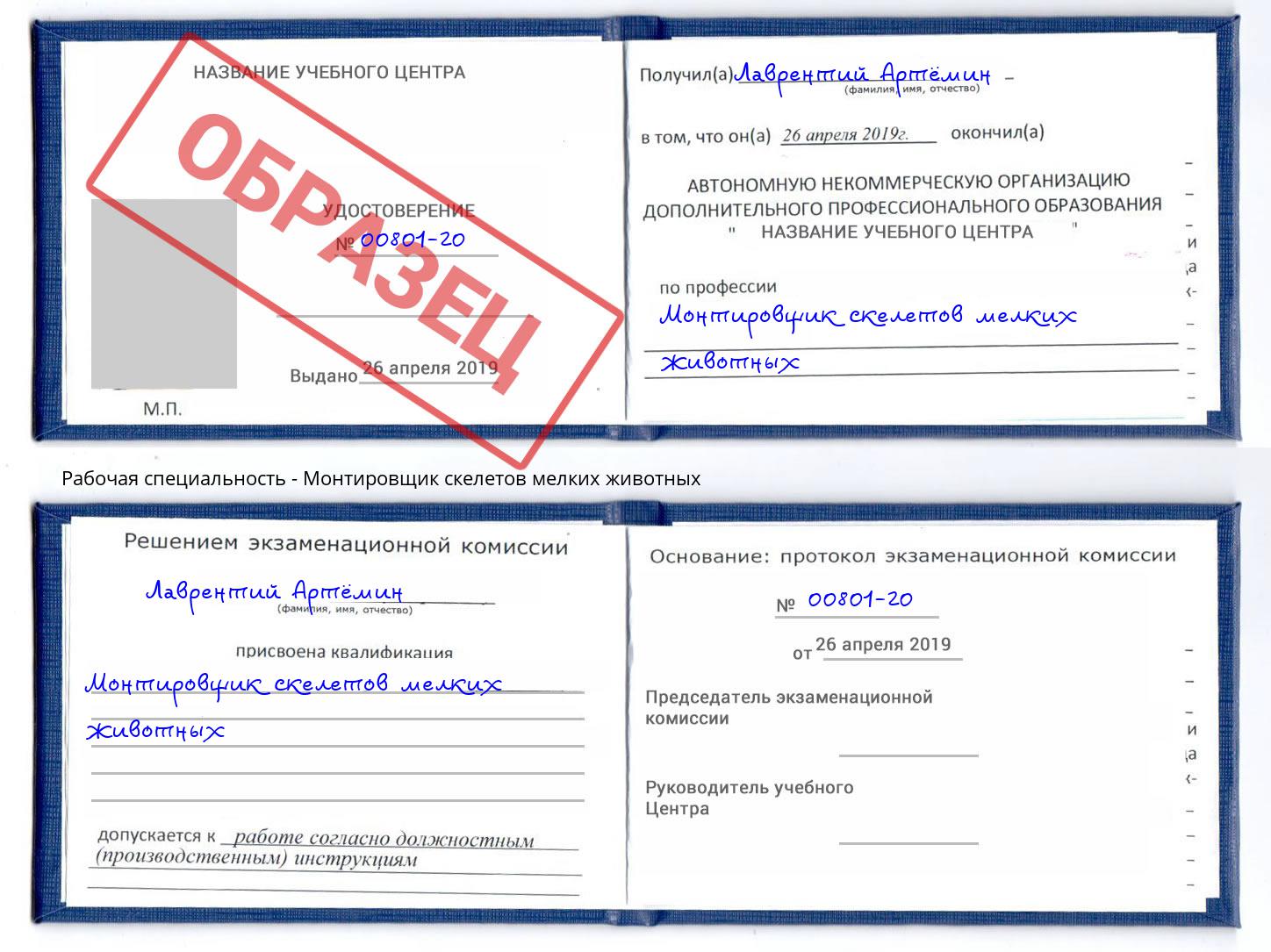 Монтировщик скелетов мелких животных Красногорск