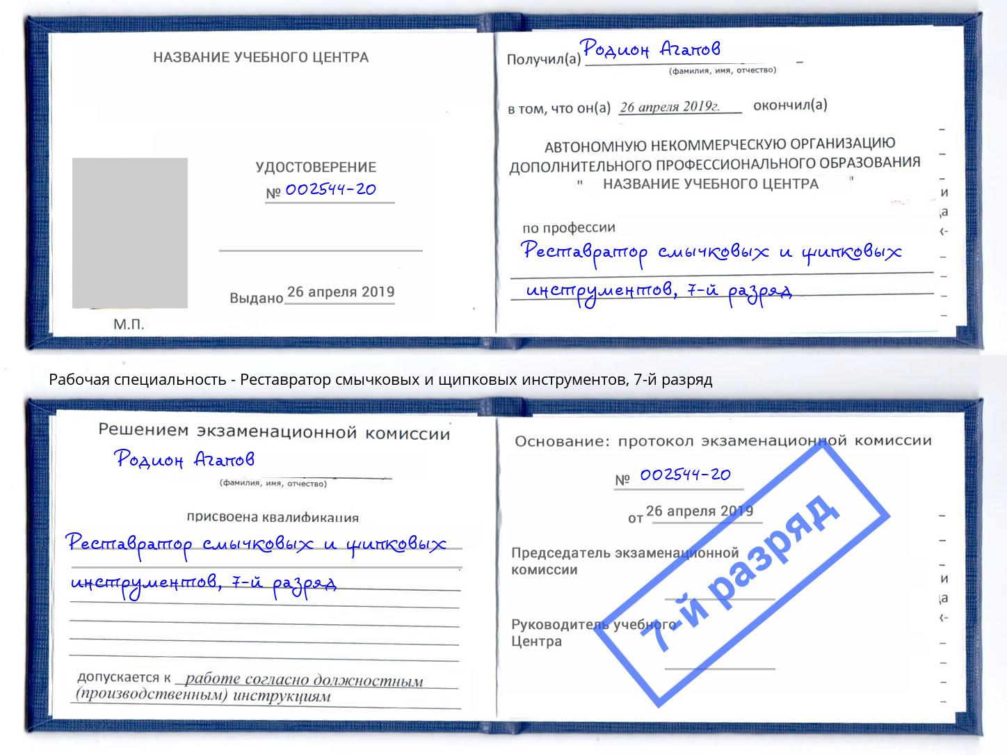 корочка 7-й разряд Реставратор смычковых и щипковых инструментов Красногорск